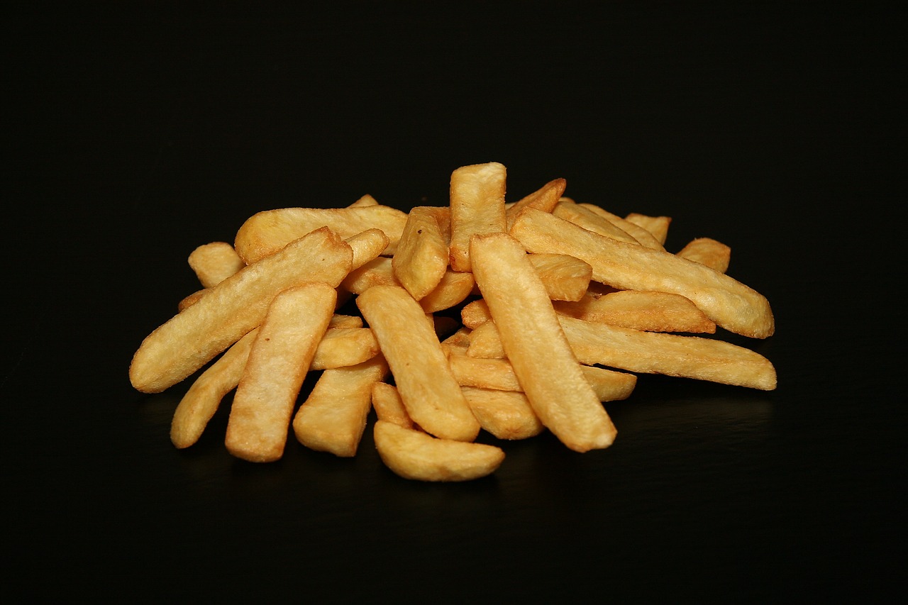 french fries photo